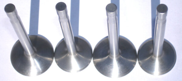 Big valve set.  Black diamond or Tuftrided for JS Beehive valve springs only