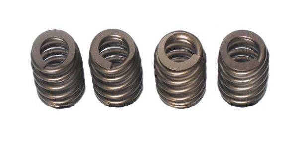 Beehive valve spring set only